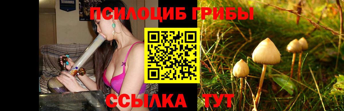 Новочебоксарск  Псилоцибиновые грибы мухоморы  Вход с VPN 